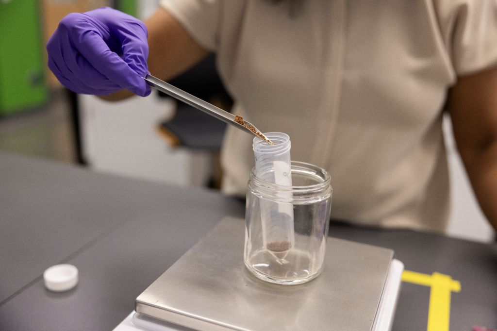 Jagadamma working with soil in a lab